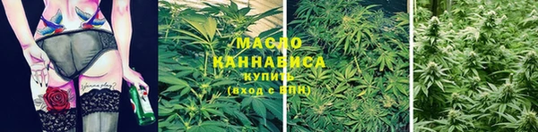 хмурый Заводоуковск