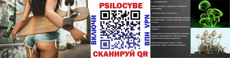Галлюциногенные грибы Psilocybe  цена наркотик  Воронеж 